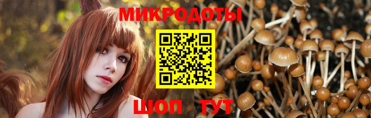 Прокопьевск  Псилоцибиновые грибы Magic Shrooms  Псилоцибиновые грибы MAGIC MUSHROOMS  Вход с VPN 